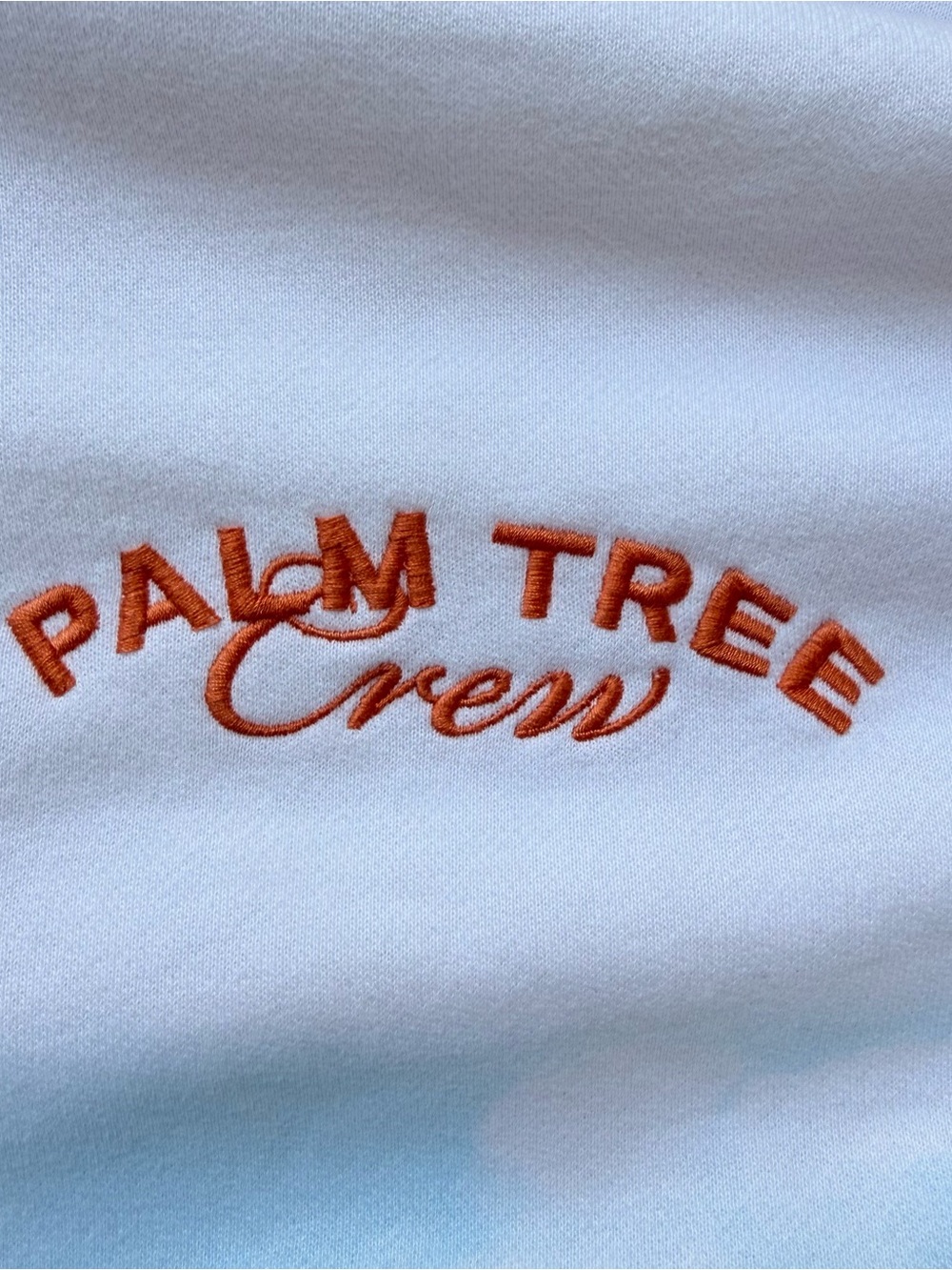 Abercrombie Fitch x Palm Tree Crew Oversized Hoodie Sweatshirt XS - Picture 3 of 12